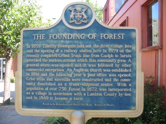 The Founding of Forest