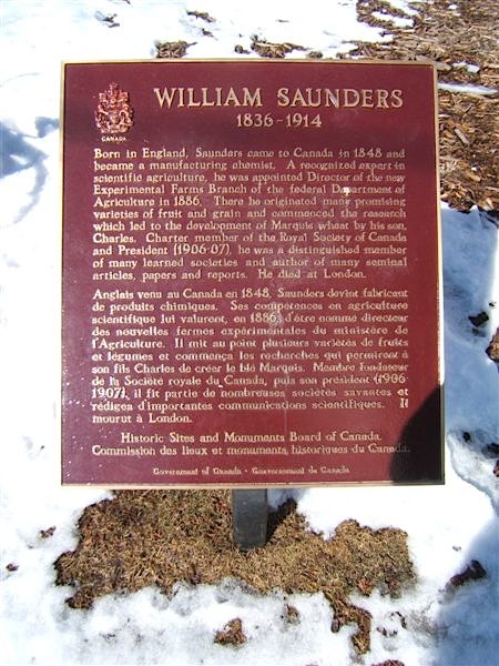 William Saunders