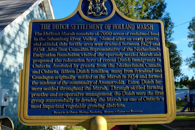 The Dutch Settlement of Holland Marsh