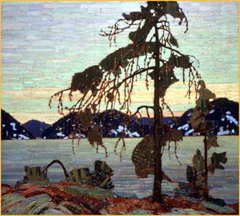 Jack Pine