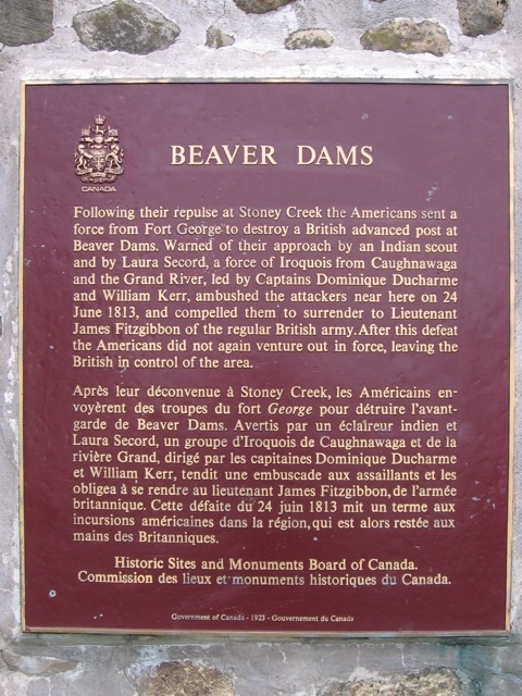 Beaver Dams