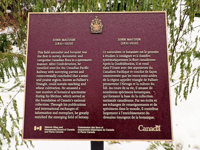 Plaque Photo