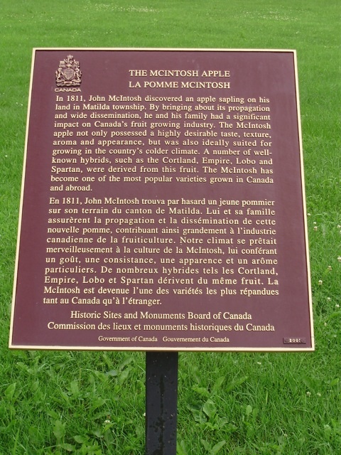 Plaque Photo